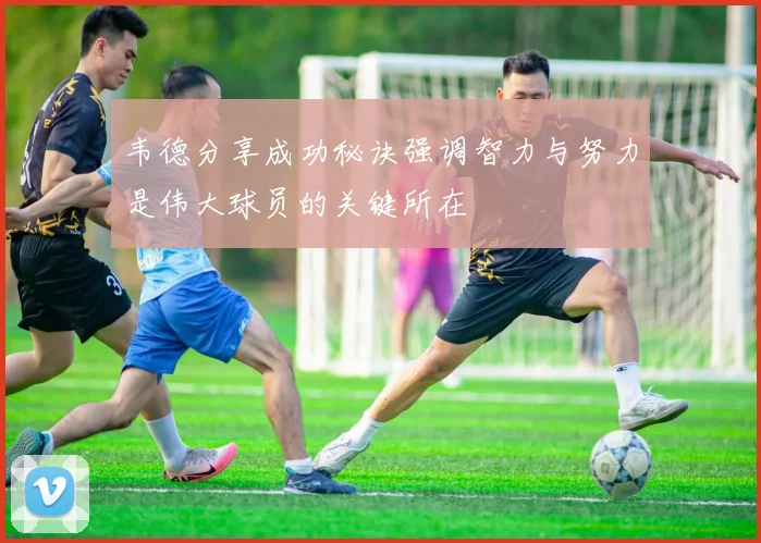 韦德分享成功秘诀强调智力与努力是伟大球员的关键所在